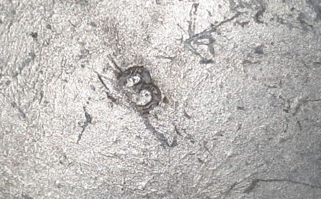 10 - Copy.jpg