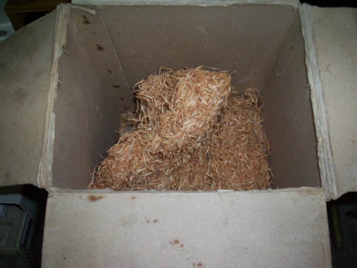 100_1340.jpg