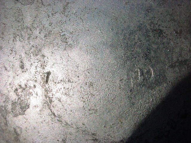 1295219686-DSC00058_opt.jpg