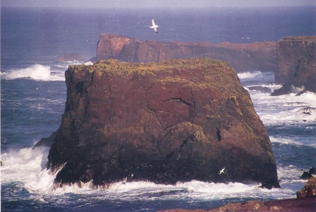 1315064764-SHETLAND_CALENDAR_PICTURE_2_opt.jpg
