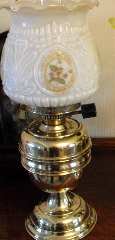 1327834513-SDC14316.JPG