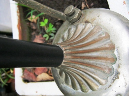 1333761468-IMG_0003.JPG