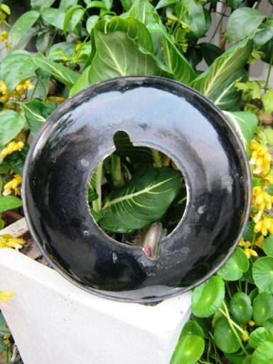1333763034-IMG_0046.JPG