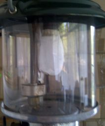 1353601376-Bloemfontein-20121122-00233_opt.jpg