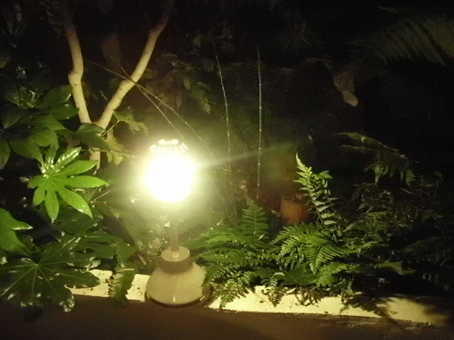 1353605012-lamps_004_opt.jpg