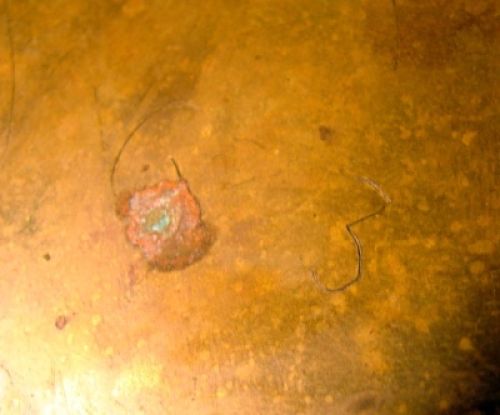 1391440912-DSC04121_opt.jpg