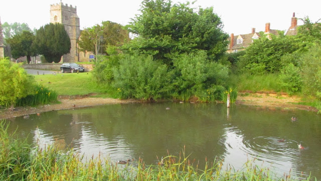 1437765052-Ducklington_Duck_Pond.jpg