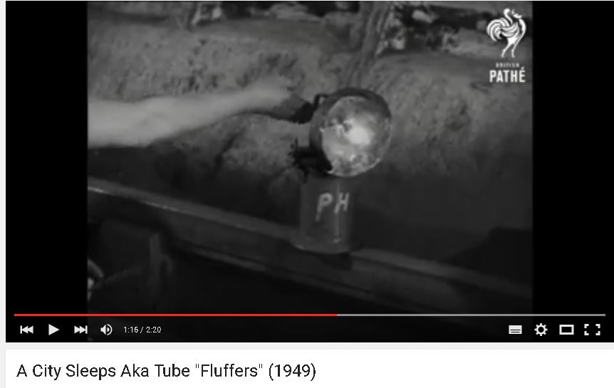 1457212394-fluffers3.JPG