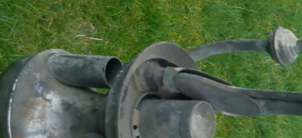 1459938384-Russian_Bear_115_opt__1_.jpg