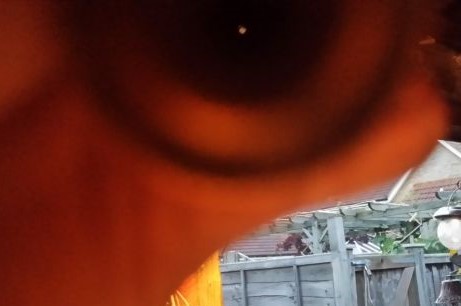 1469566904-20160722_210912_opt.jpg