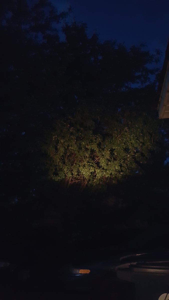 20180706_220428.jpg
