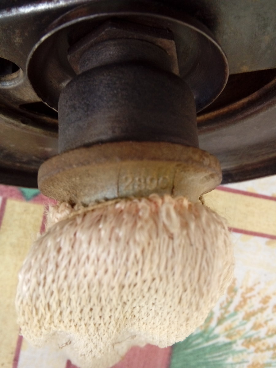20190529_110857.jpg