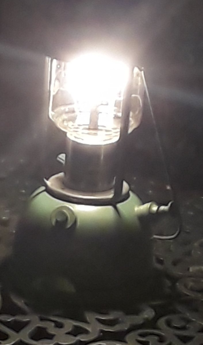 20190603_123427[1].jpg