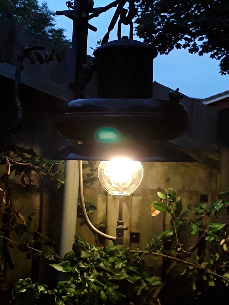 20190724_211037.jpg