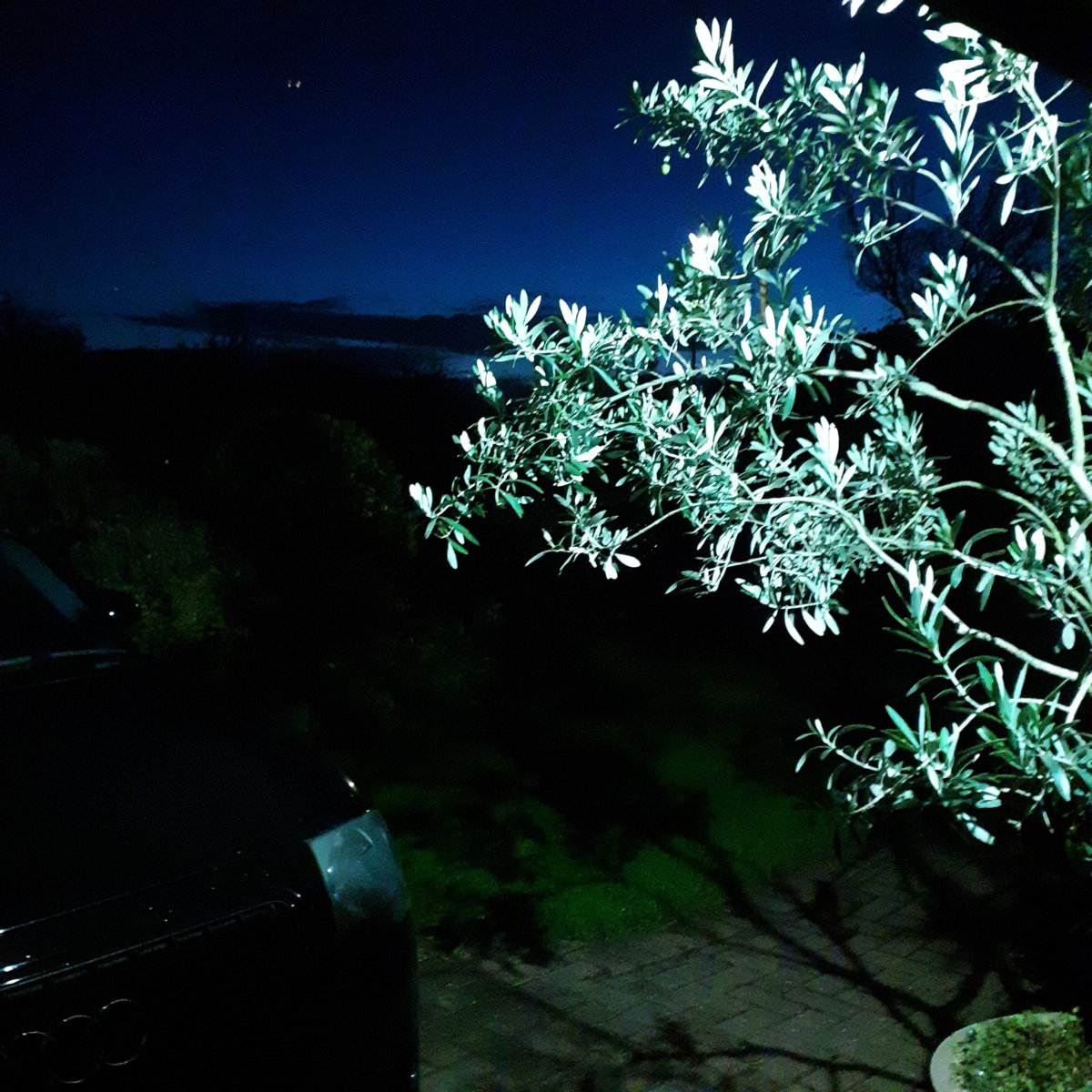 20191104_172331.jpg