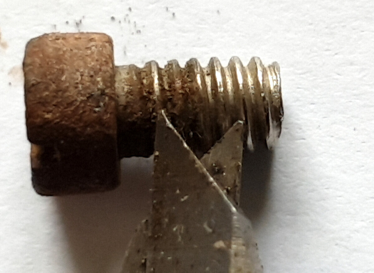 20201201_082502 - Copy.jpg