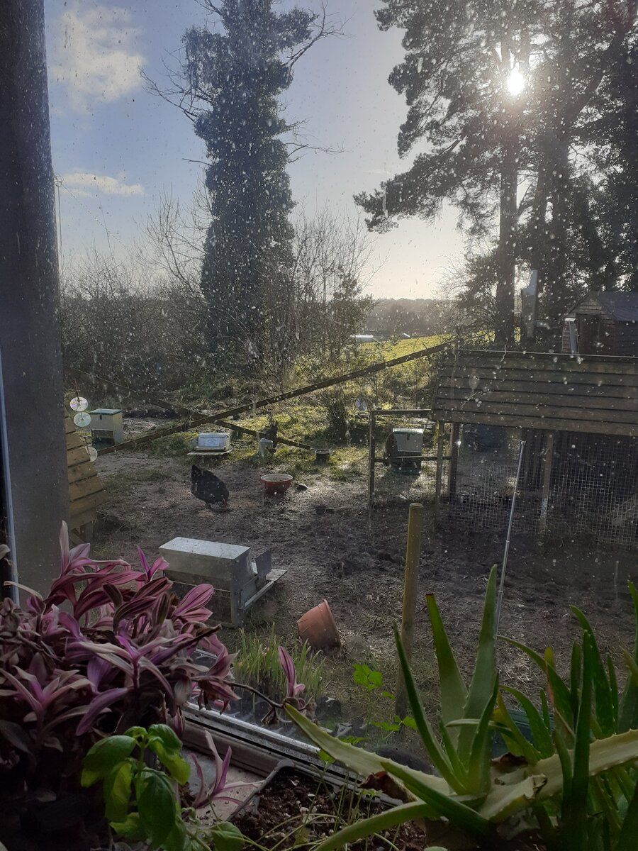 20210122_120914.jpg