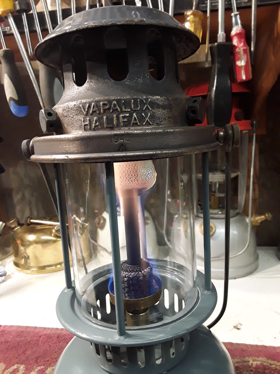 20210130_125610.jpg