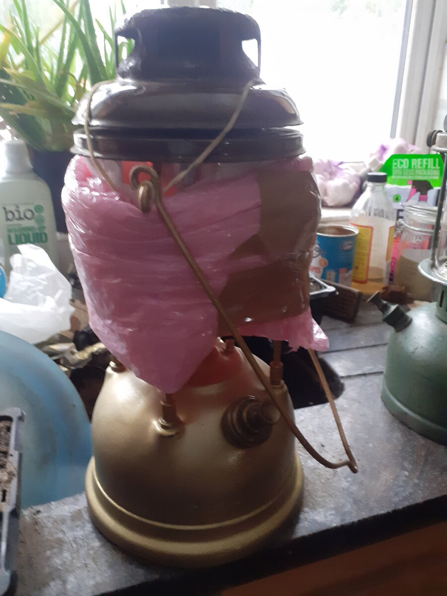 20210213_094343.jpg