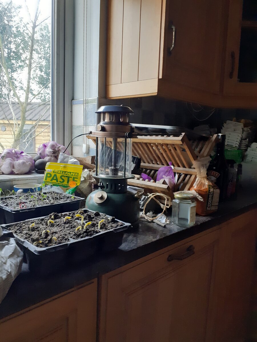 20210216_092246.jpg