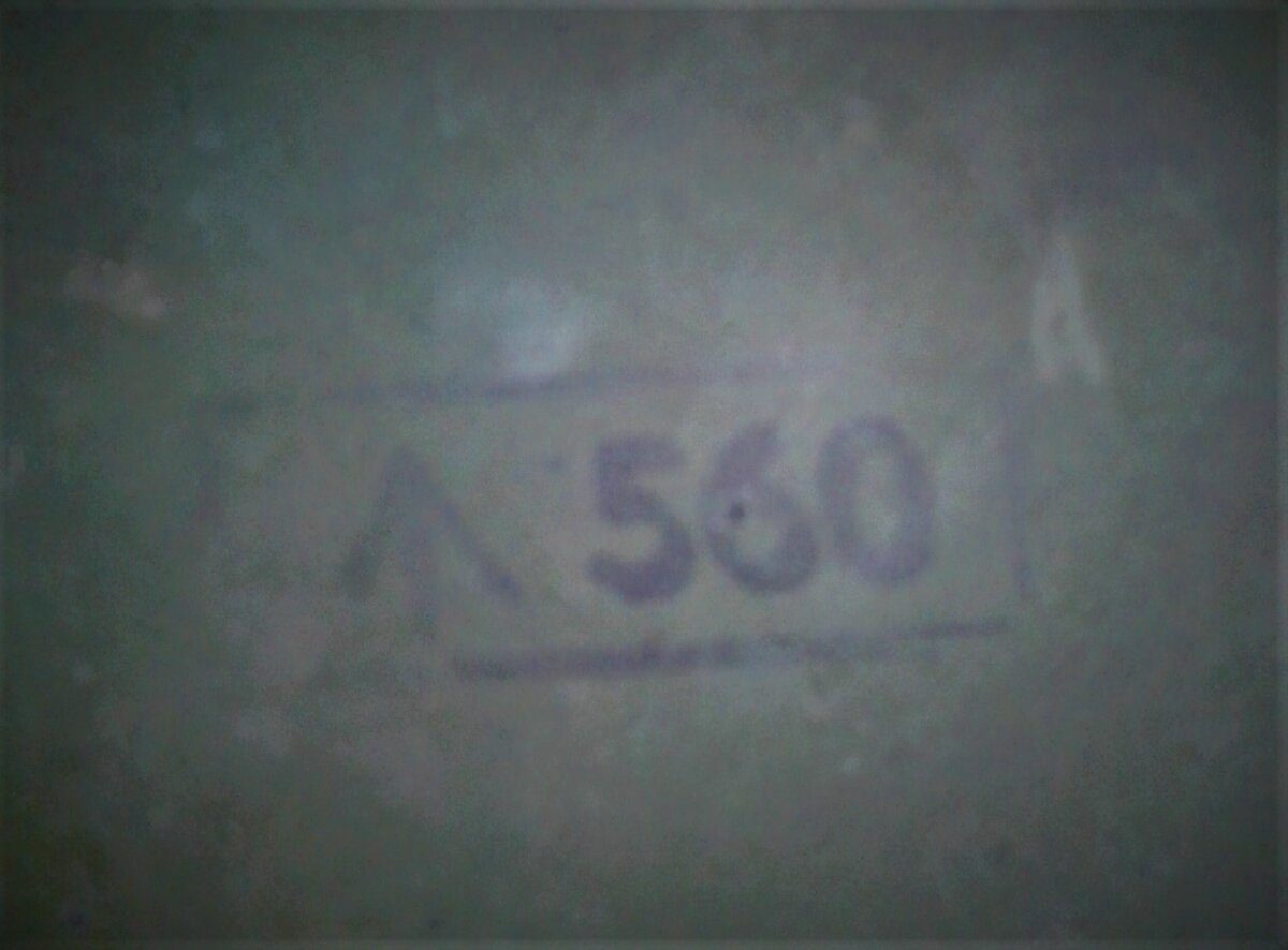 20210318_170243.jpg
