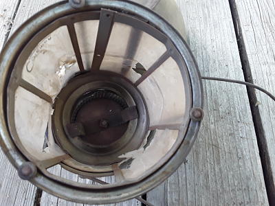 20210802_160311_opt.jpg