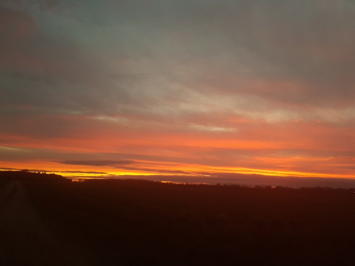 20220202_170155.jpg