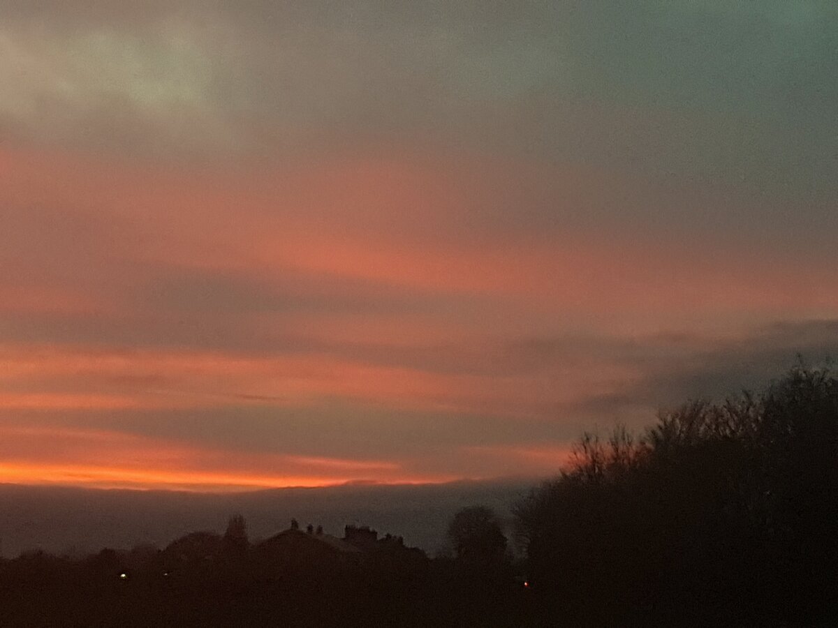 20220202_170226.jpg