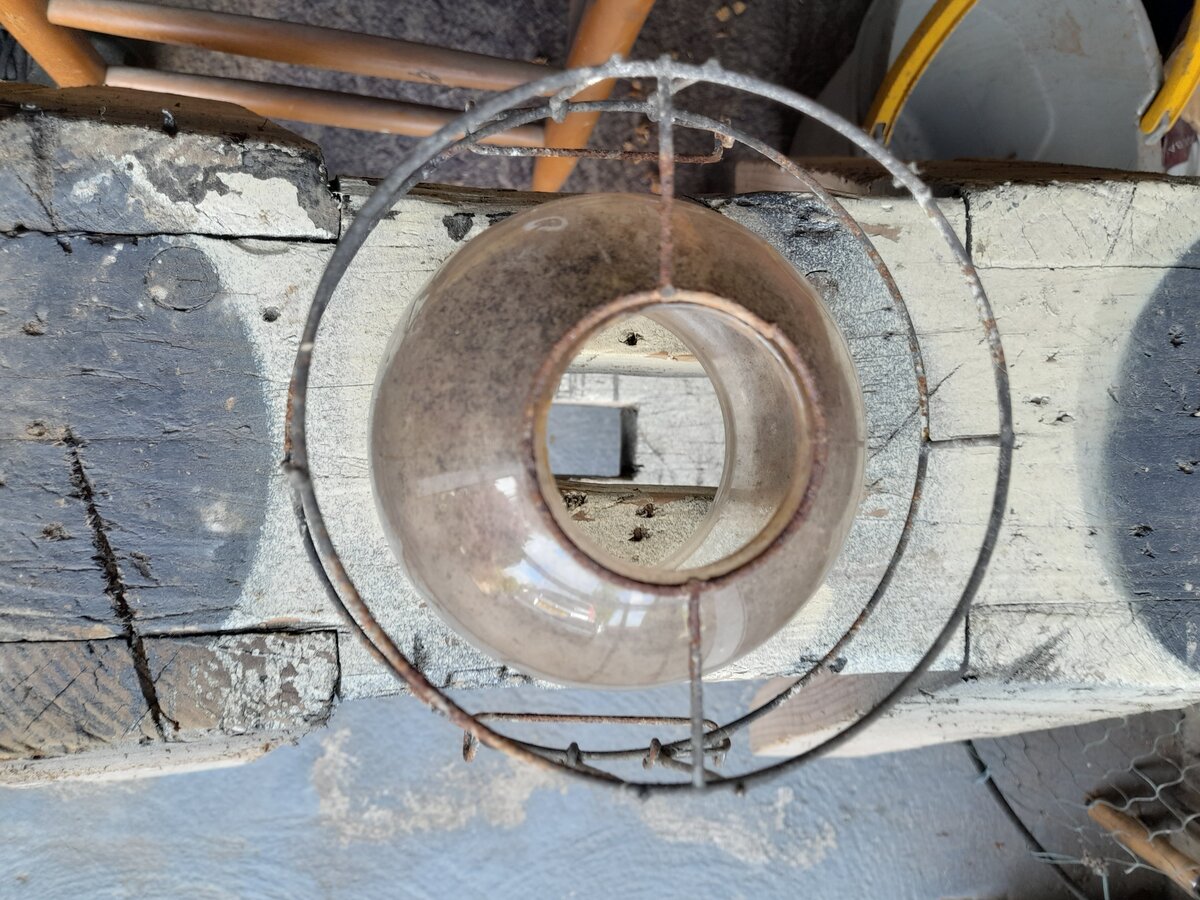 20220512_094637.jpg