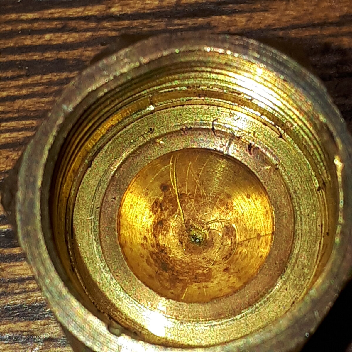 20221227_161334.jpg