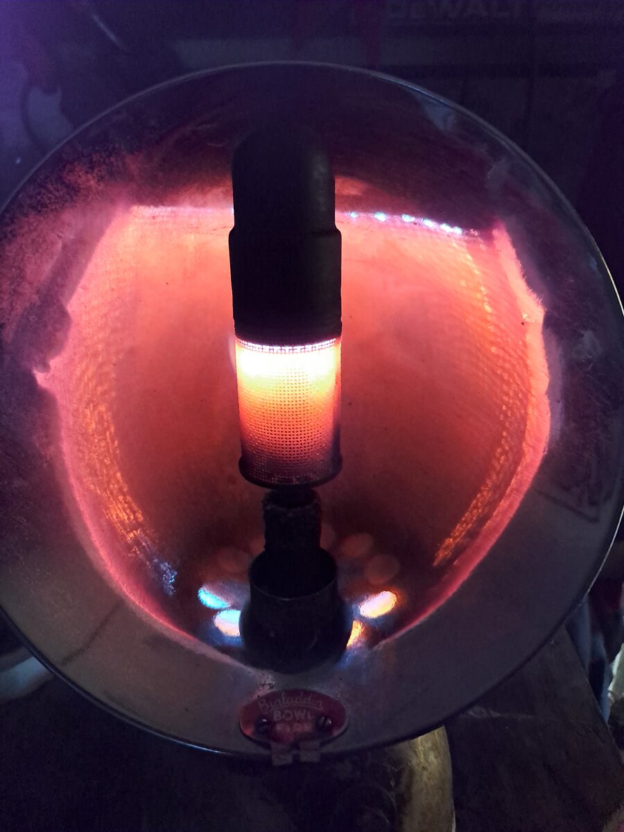 20240224_072201.jpg