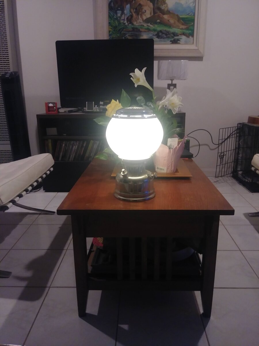 20250501_193723.jpg