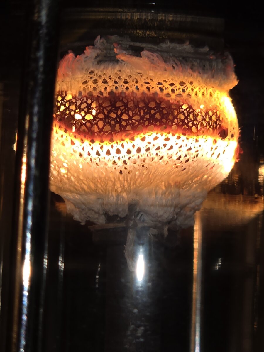 20260908_185422.jpg