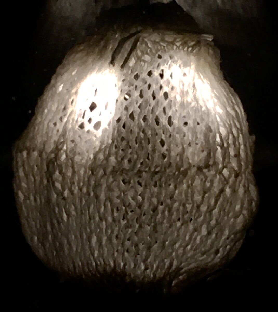 66444670-D951-4658-981E-EA0D9B9EEAC1.jpeg