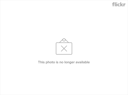 9238524614_244e9505bd_z.jpg