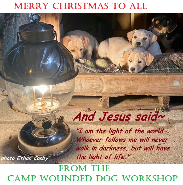 campwoundeddog workahop chritmas card.jpg