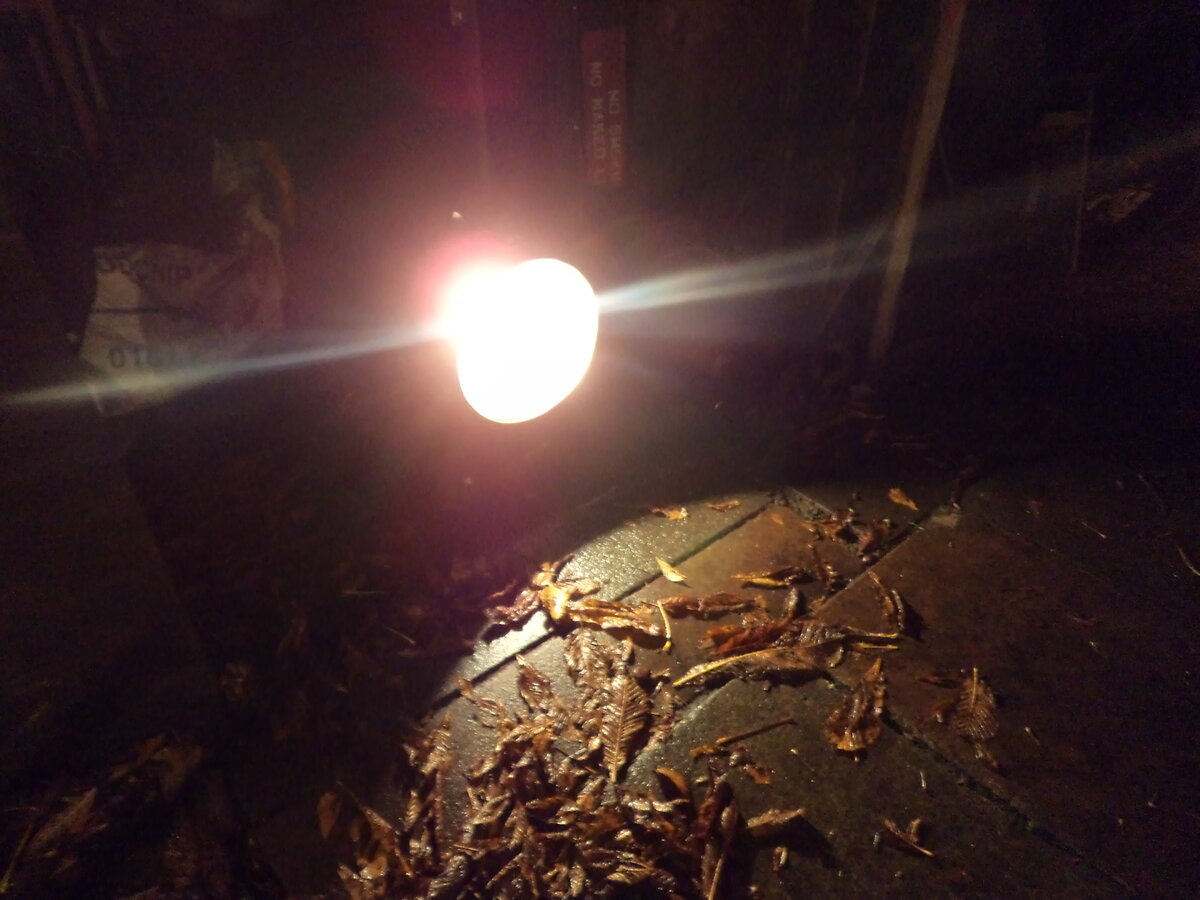 DSC07882.JPG