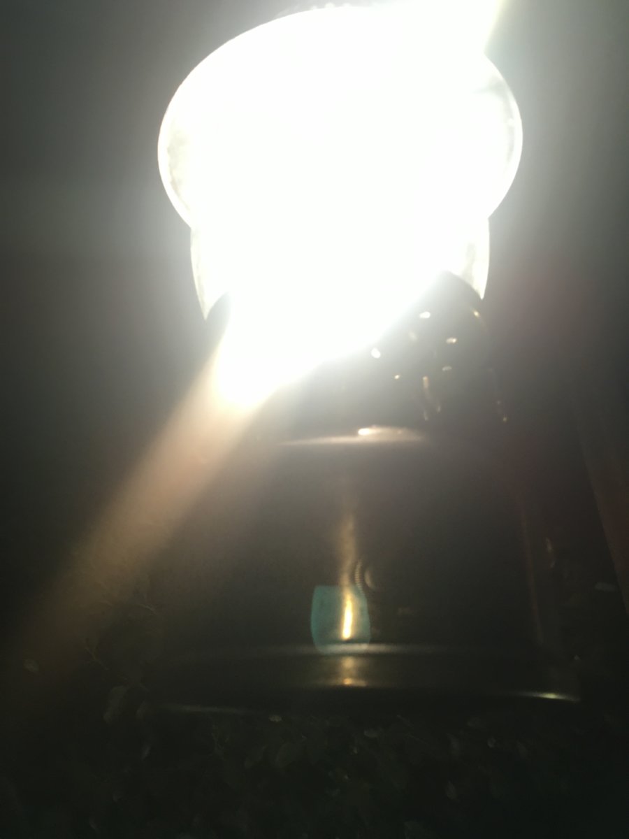 EE8BB6C0-14A3-4DF7-B524-C125D27F214E.jpeg