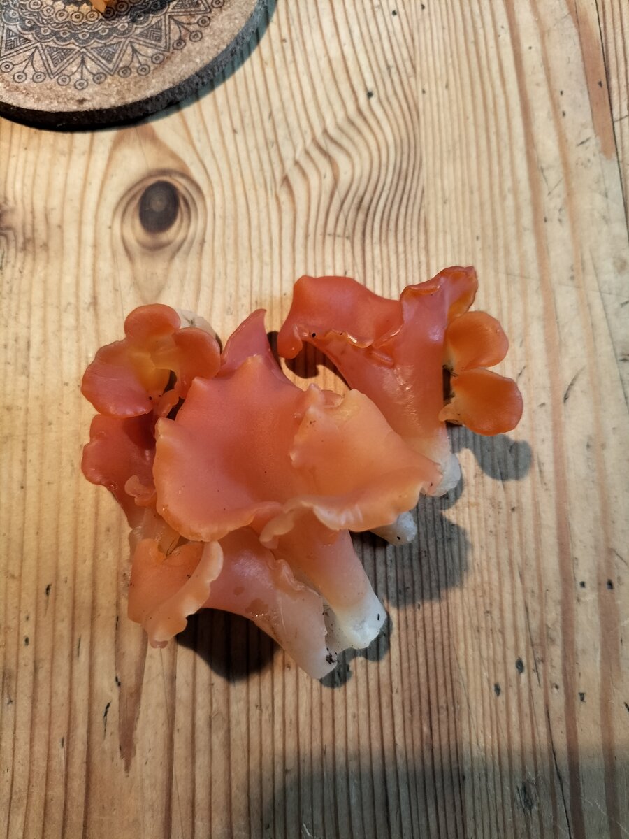 IMG20220806171425.jpg