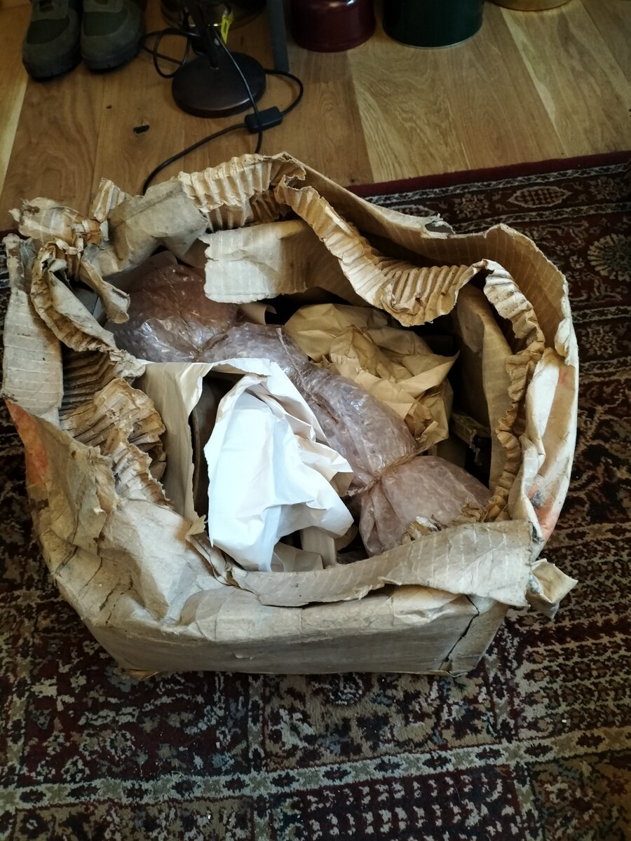 IMG20230425191355.jpg