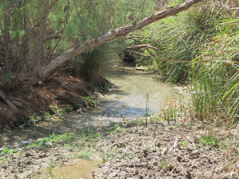 IMG_1775.JPG