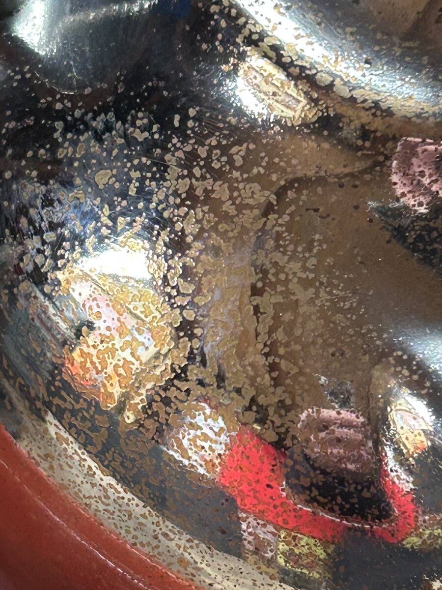 IMG_6534.jpeg