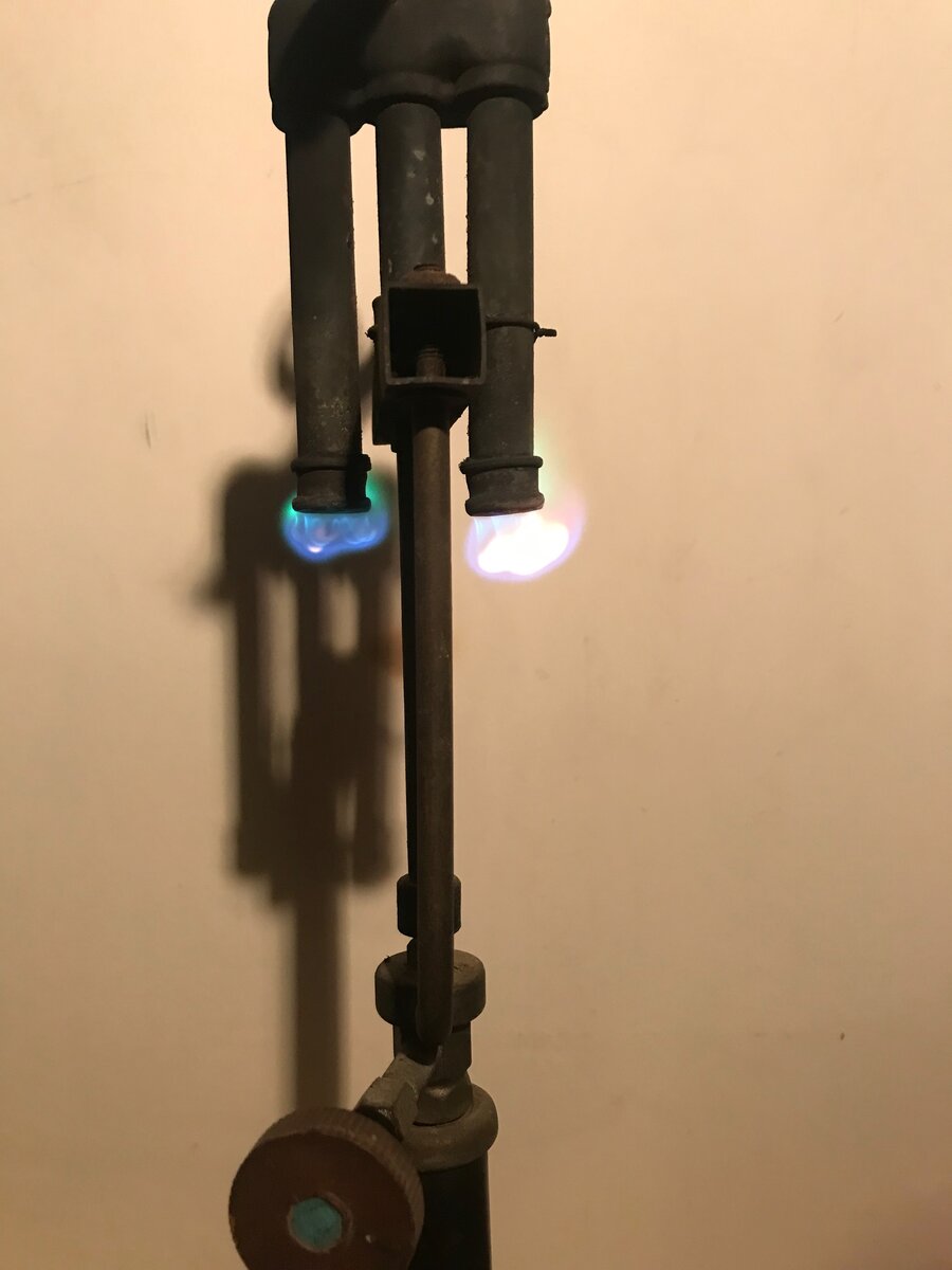 IMG_6731.jpeg