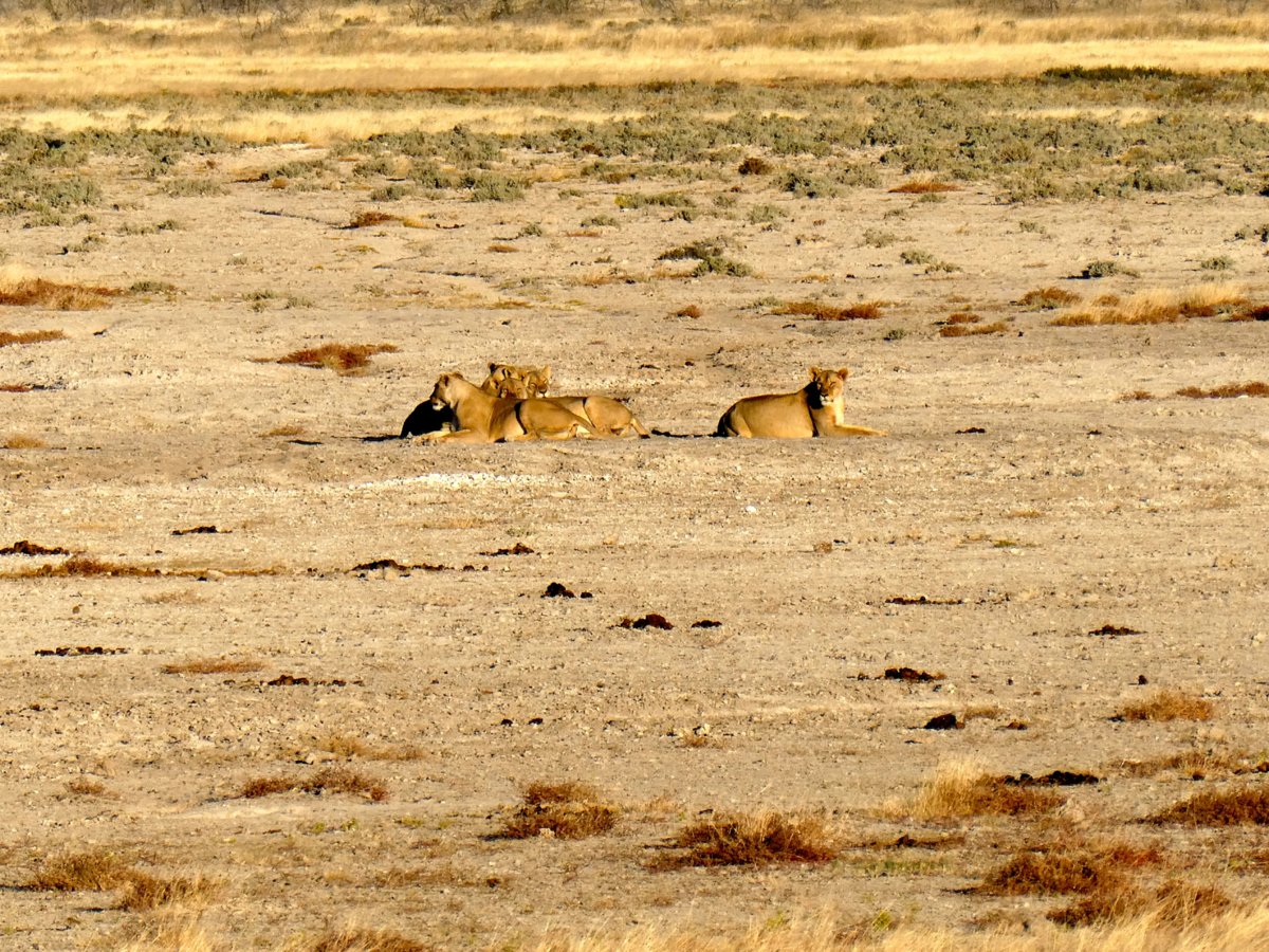 P1000244.jpg