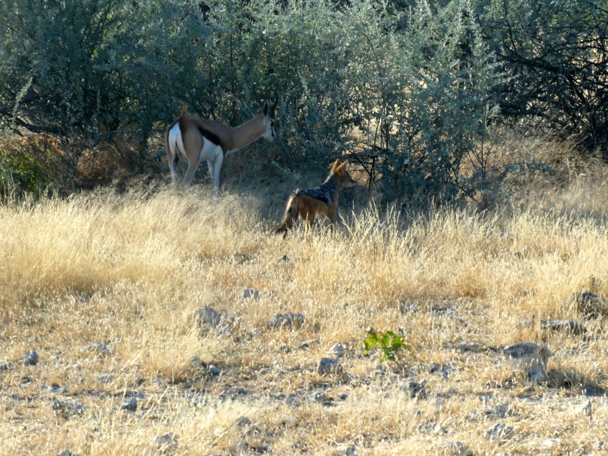 P1000272.jpg