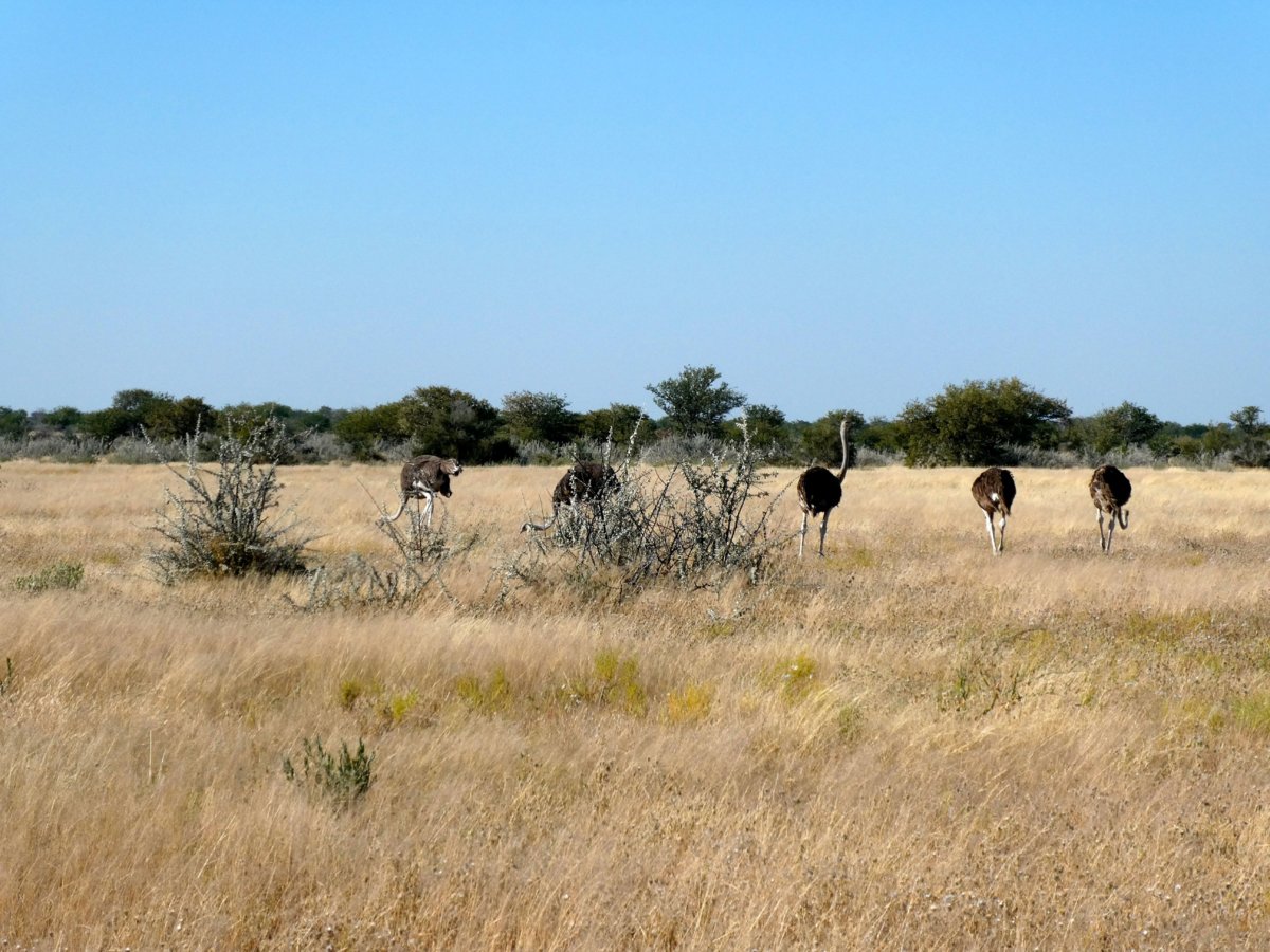 P1000315.jpg