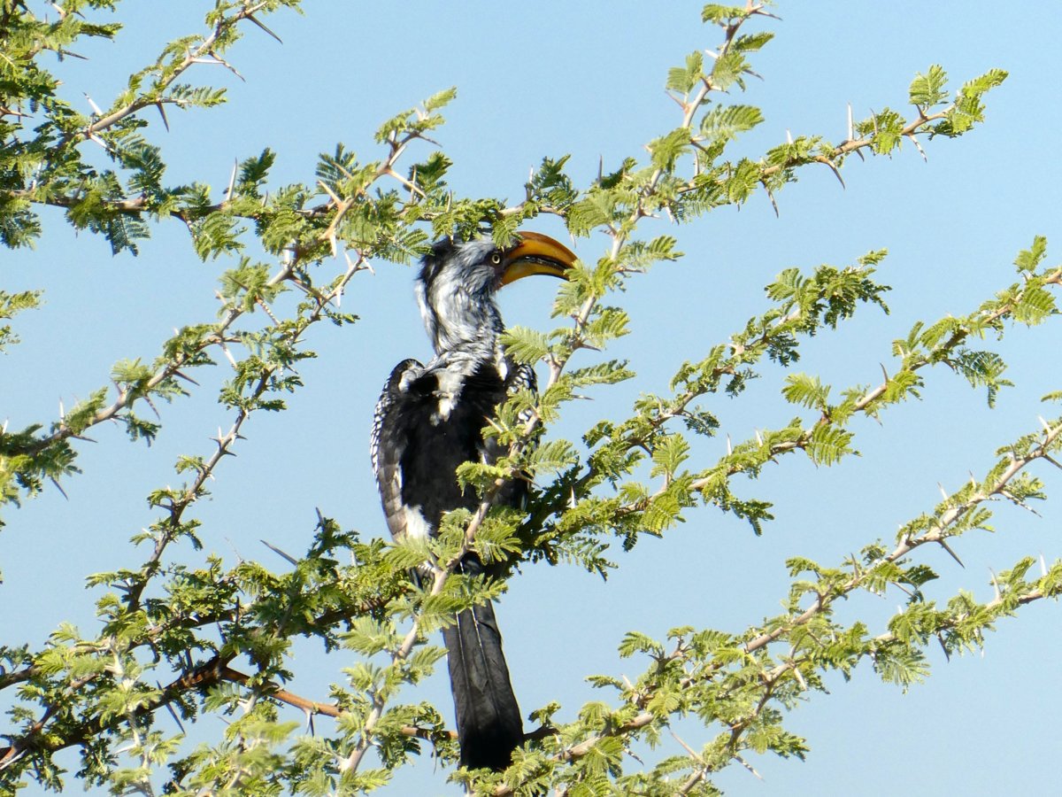 P1000337.jpg