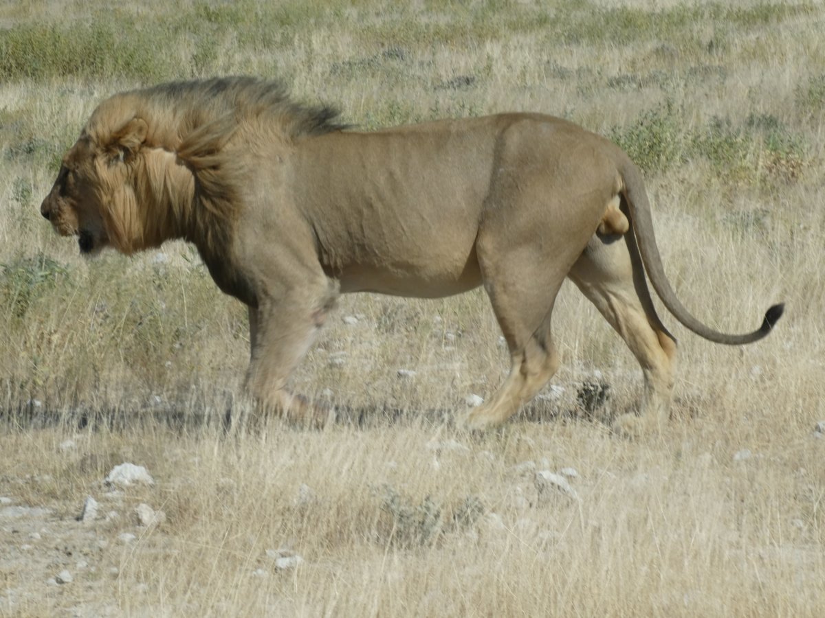 P1000355.jpg