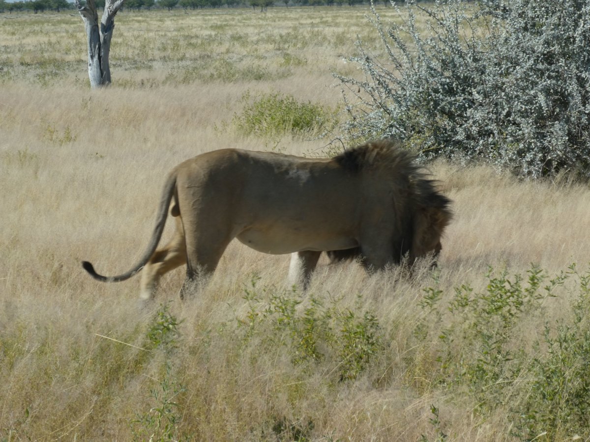 P1000364.jpg