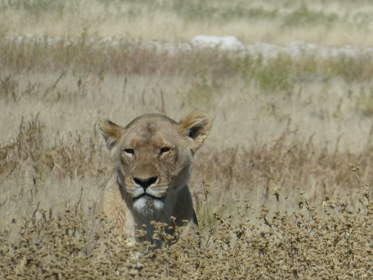 P1000377.jpg